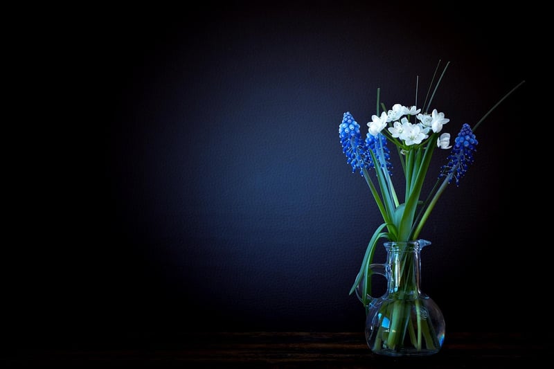 Flower Garden